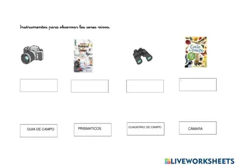 Instrumentos PARA OBSERVAR A LOS SERES VIVOS