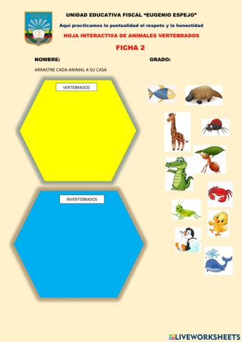 Animales vertebrados