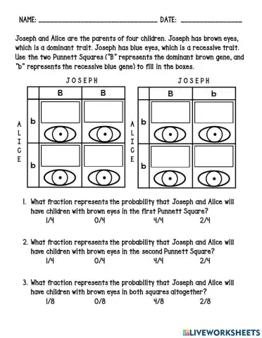 Simple Punnet Square