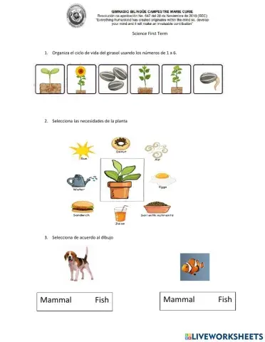 Science First Term Evaluation