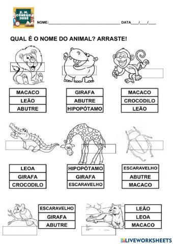 Qual o nome de cada animal?