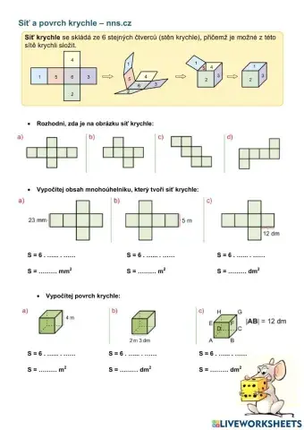 Síť a povrch krychle