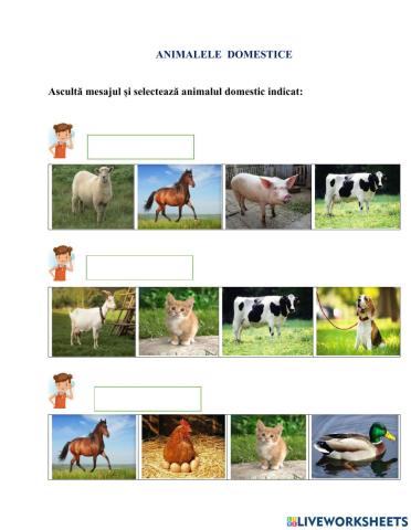 Evaluarea limbajului receptiv-Animalele domestice