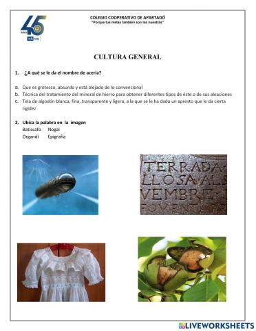 Actividad: Cultura General 2
