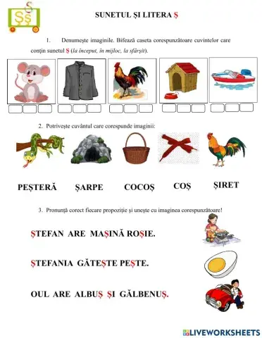 Sunetul și litera ș