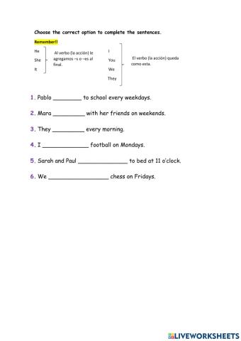 Choose the Correct Option - Present Simple