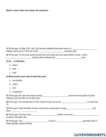 The history of the world according to cats