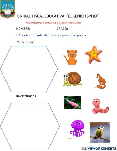 Los animales vertebrados y invertebrados