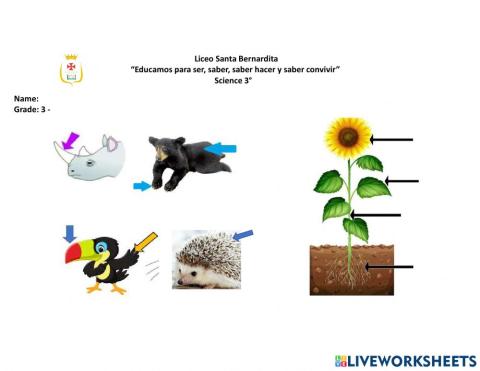 Parts of plants and animals
