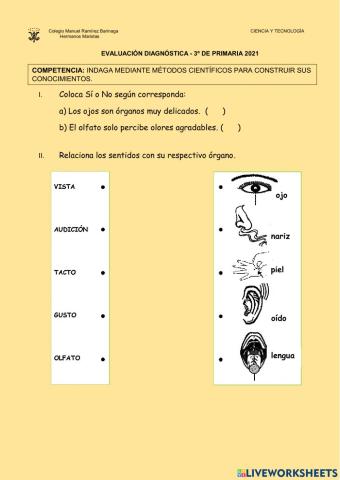 Evaluación Diagnóstica 2