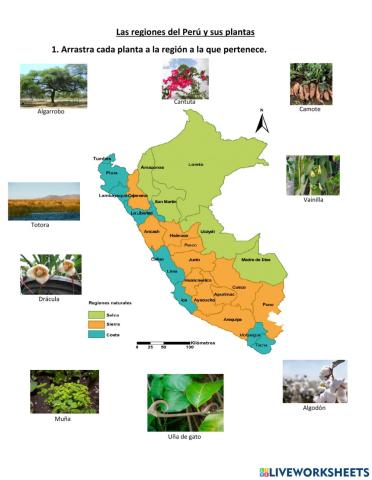 Regiones y plantas del Perú