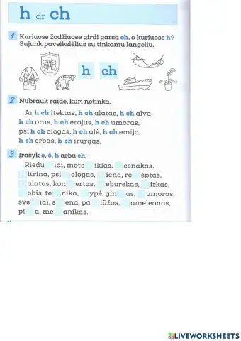 Gramatika lietuvių kalba