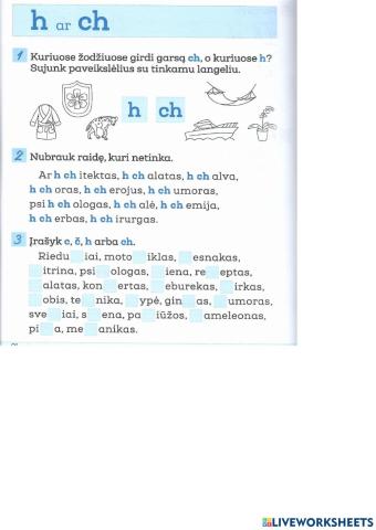 Gramatika lietuvių kalba