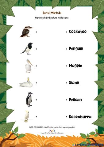 Busy Beaks - Birds Match