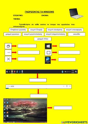 ΓΝΩΡΙΖΟΝΤΑΣ ΤΑ WINDOWS
