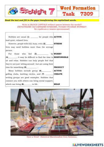 Spotlight 7 Task 7309