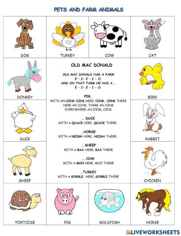 Pets and farm animals