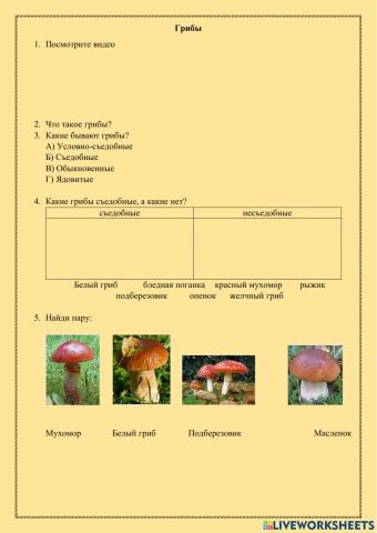 Грибы