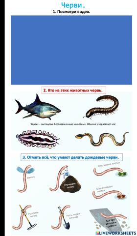 Окружающий мир. Черви.