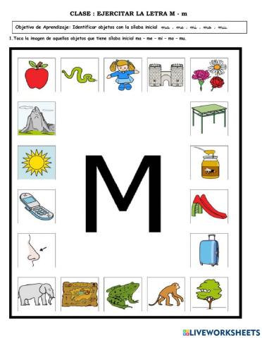 Identifica los objetos que inicio con la letra M