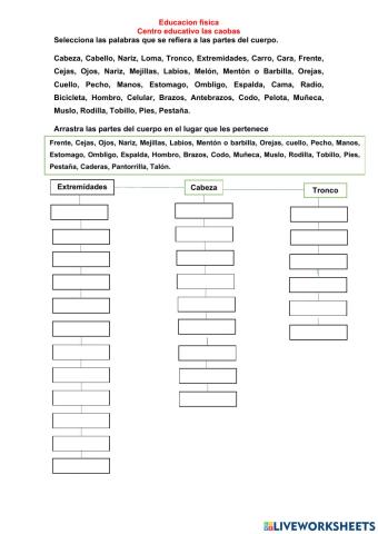 Las partes del cuerpo humano
