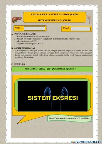 LKPD SISTEM EKSKRESI 