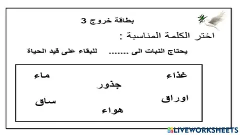 بطاقة خروج 1