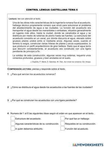 Prueba lengua castellana