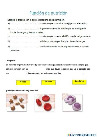 Función de nutrición