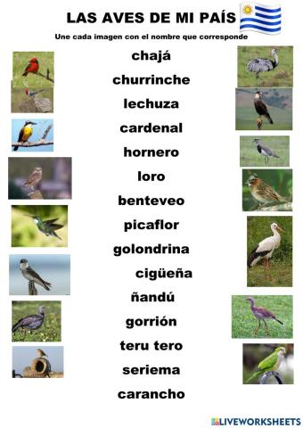 las aves de mi país.