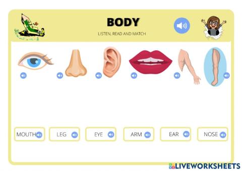Some Body parts