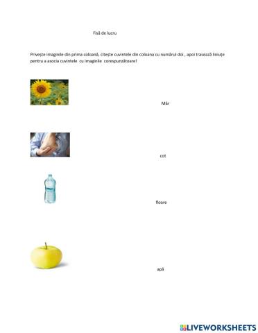 Fisa potrivire imagine-cuvant