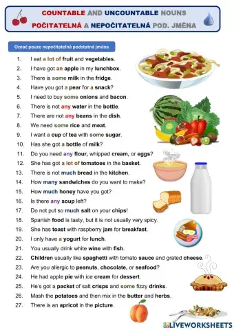 Countable and uncountable, some, any, a lot of, much and many