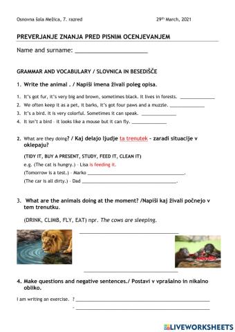 preverjanje pred pisnim ocenjevanjem znanja