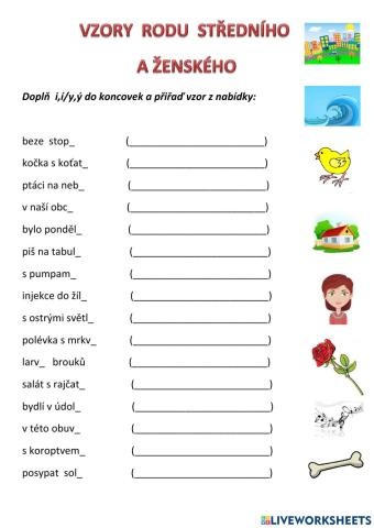 Vzory rodu středního a ženského