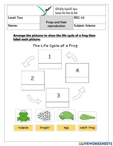 Frog life cycle