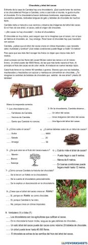Chocolate y árbol de lcacao