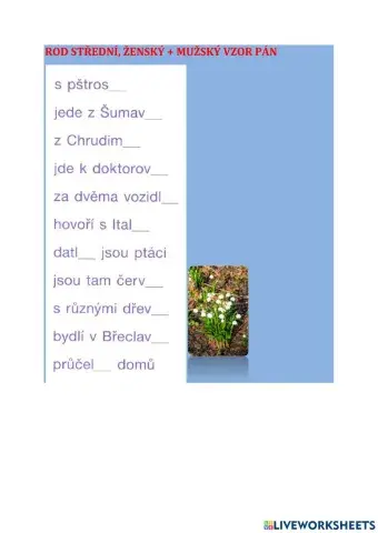 Koncovky podstatných jmen - pán