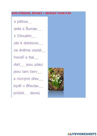 Koncovky podstatných jmen - pán