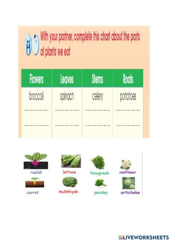 Part of plant we eat