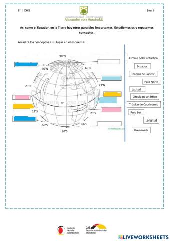 Paralelos y conceptos