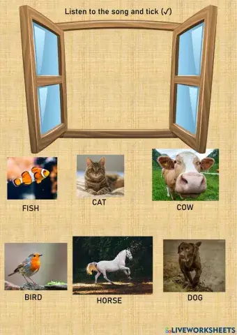 Listen to the song and tick- Pets