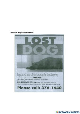 The Lost Dog  Advertisement
