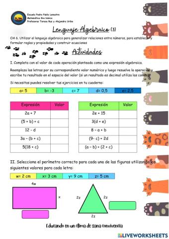 8vo Lenguaje algebraico