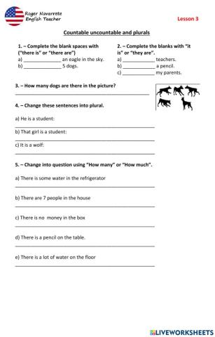 Countables and non countable nouns