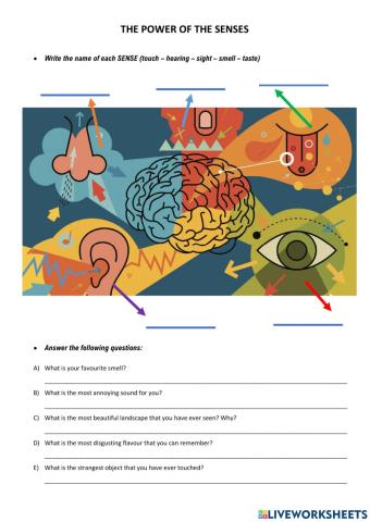 The power of the senses