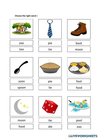 Sh& ie digraphs