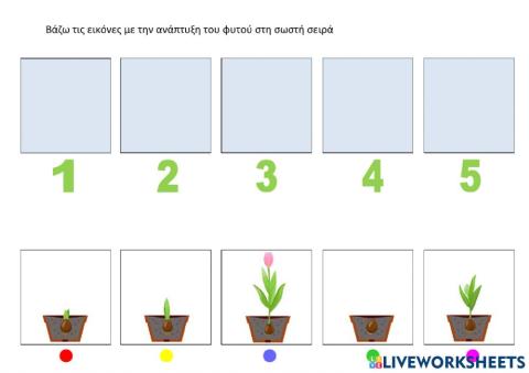 Ανάπτυξη φυτού