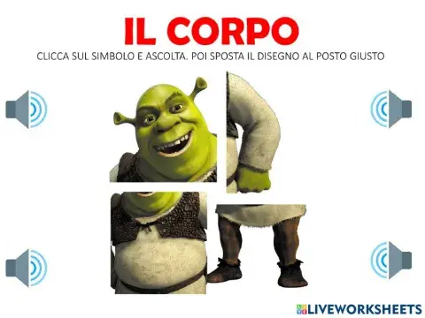 Corpo