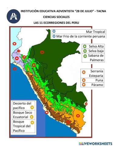 Las 11 Ecorregiones del Perú